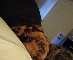 Snow White ❤️❤️❤️ Female Escort — Outcalls & Incall in Blythsville - Image 2