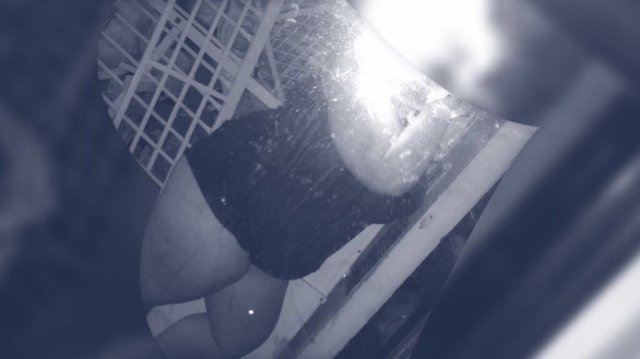 St. Louis Female Escort — Outcalls All Night, Cardates, Media & FaceTime - 1