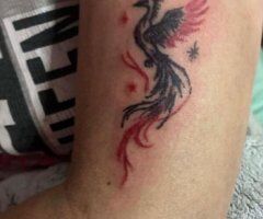 Buffalo NY Tattoo Content + Incall Dates - Image 5