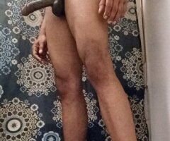 Rico (Chicago) Black & Dominican Breeding Bull — Women Only - Image 3