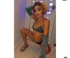 Orlando escorts - Orlando Female Escort — Slim & Petite Party-Favors Vixen (Incall Only)