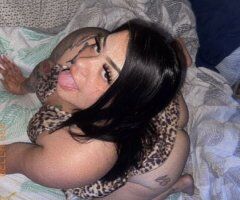 Houston escorts - Houston Female Escort — wet kitty, thick shirt, and throat