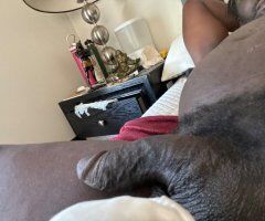 Prince True — Professional Male Escort, Ann Arbor & Nearby - Image 2