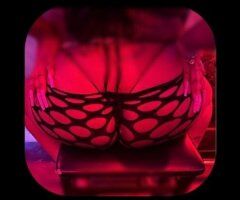 Queens White Kitty Incalls at a Hotel — No Catfish, Clean, Private - Image 2