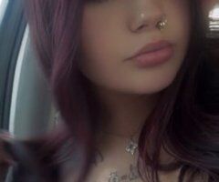 Real Exotic Playmate (22) — Minneapolis/St. Paul - Image 6