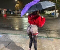 Seattle WA New in Town Escort — Incalls & Outcalls - Image 6