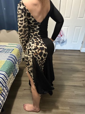 Sarasota/Bradenton Florida Female Escort — Early Bird Deals - 1