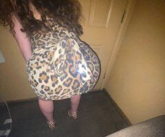 La Crosse Female Escort — Full Service or Outcall - Image 3
