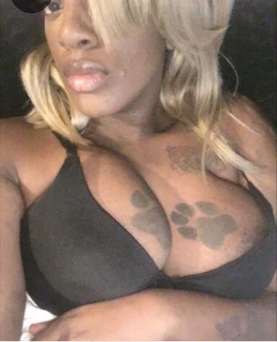 Honey Military SPC — Discreet GFE, In/Out Calls in Columbus - 1