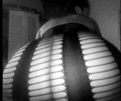 Portland escorts - Portland Latina Escort — Thick Latina, Oral & Independent Vibes