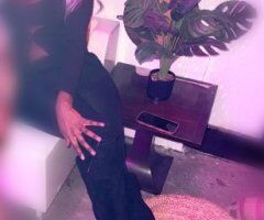 Youngstown Female Escort — Camille L’Oreal, FaceTime verification - Image 3