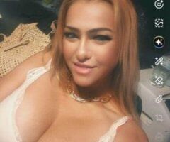 Phoenix escorts - Phoenix, Arizona Cougar Specialty — Incall Text & Condom-Mandatory Session
