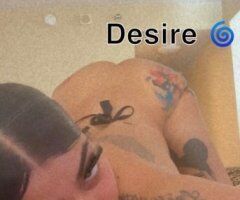 Tight Grip Exotic — Back in Tow Little Time Only - Image 4