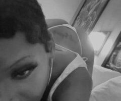 Waco escorts - Kayla (Kitty) — Waco Female Escort for Content & Facetimes