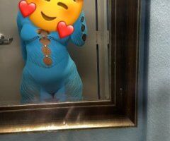 Carmel  Fun-sizes 5'1 — Detroit video calls, verify, outcalls (East/West) - Image 3