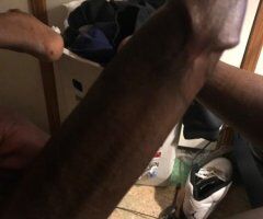 Charlotte escorts - Big Black Dick Meetups — Women Only