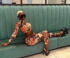 Jacksonville escorts - Jacksonville FL Paris Doll—Incall/Outcall Oral Service