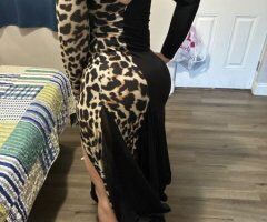 Sarasota/Bradenton escorts - Sarasota/Bradenton Female Escort — half/Full/ QV options