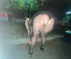 Bellingham escorts - Luna (19) — Upscale Incalls, Outcalls & Cardates in Bellingham