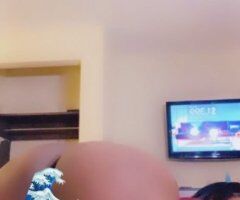 Charlotte escorts - Charlotte Female Escort for FaceTime Shows (Picks/Vids too)