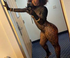 Bambii in West Palm Beach: Incall/Outcall + BBJ, Anal, Nuru Massage - Image 7
