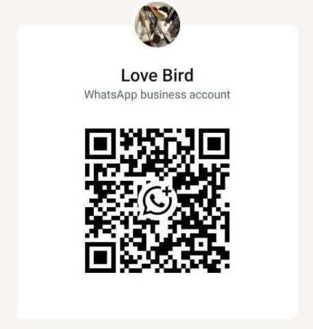 Clarksville Female Escort — Fetish-Friendly Text/WhatsApp & In/Outcall - 1