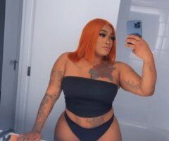 West Palm Beach escorts - West Palm Beach Female Escort — one night only (no negotiation)