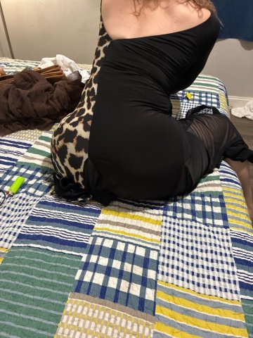 Sarasota/Bradenton FL Female Escort — Half, Full & QV 120 - 1