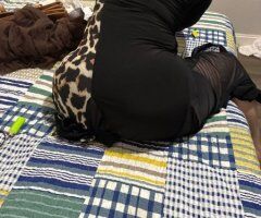 Sarasota/Bradenton escorts - Sarasota/Bradenton FL Female Escort — Half, Full & QV 120