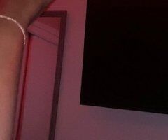 Sarasota/Bradenton escorts - Sarasota/Bradenton Female Escort — In-call, Out-call & Car Dates