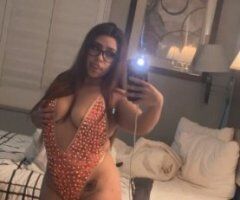 Colombian Cat — In-Call & Outcalls (Deposit Only, Text) - Image 3