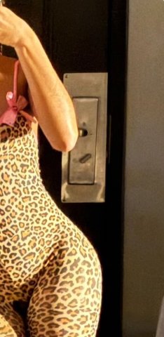 Huntsville Alabama Female Escort — FaceTime verification & kink-friendly booking - 1