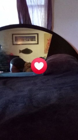 BBW A1 Escort — Outcalls, CArdates, Incalls & Overnight (Miami) - 1