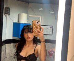 Tampa escorts - Tampa Female Escort in-call with video verification