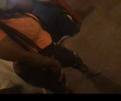 Springfield MA Female Escort — Verified, curvy full-service - Image 2