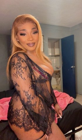 Tampa Female Escort — Incall Only (Early Bird Special Week) - 1