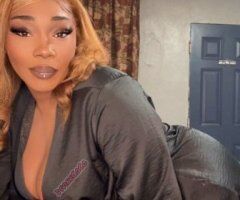 Tampa Female Escort — Incall Only (Early Bird Special Week) - Image 3