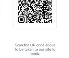 St. Louis Female Escort — Oral/ Lip Service, Oral Car Dates - Image 5