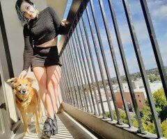 NE Portland (Incalls at my hotel) Female Escort — daily special incalls - Image 4