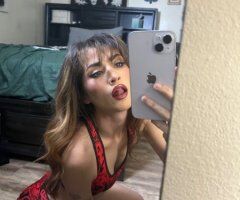 Tampa Female Escort — Incall + content (FT) & video verification - Image 2