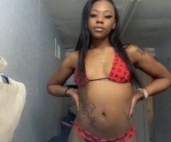 Denver escorts - Denver CO Incall & Outcall Specials — Car Fun