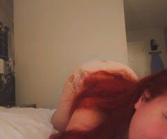 Kelly Sparks — Albany Playmate (Valentine Meet & Feed) - Image 11