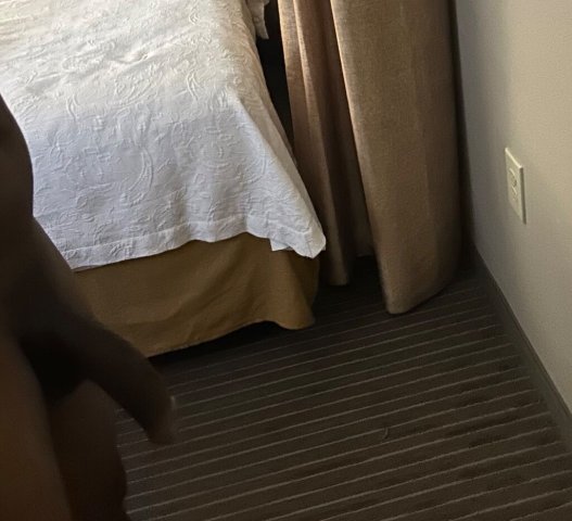 Long Beach Male Escort — BBC Special (20-Minute Session for $50 Tomorrow) - 1