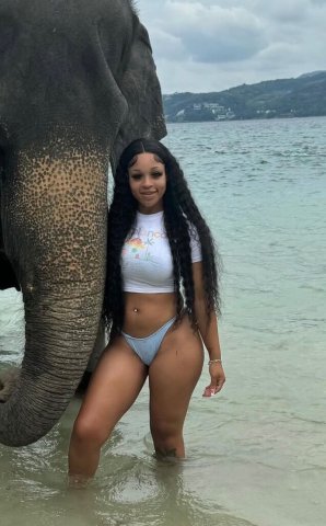 Two-on-Here Special  — St. Louis Female Escort (Outcalls/Incalls/Cardates) - 1