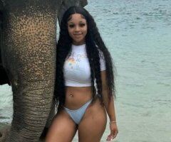 St. Louis escorts - Two-on-Here Special  — St. Louis Female Escort (Outcalls/Incalls/Cardates)