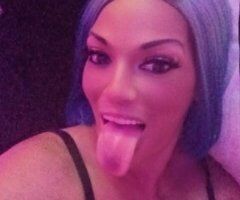 Palm Bay escorts - Palm Bay Female Escort — Removable Teeth, No Gag, No Car Dates