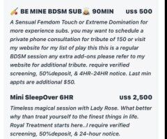 Lady Rose Minneapolis/ St. Paul Female Escort — pre-booking & 90+ minute dates - Image 3