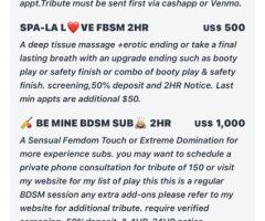 Lady Rose Minneapolis/ St. Paul Female Escort — pre-booking & 90+ minute dates - Image 7