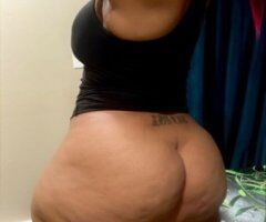 Central Jersey escorts - Central Jersey Cat Play — Private Discreet Linden NJ Visit