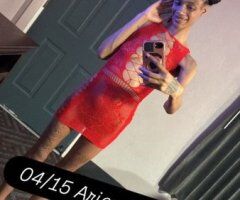 Detroit, MI Incalls — Laila (Amazon & ThroatGoat Goddess)  - Image 8